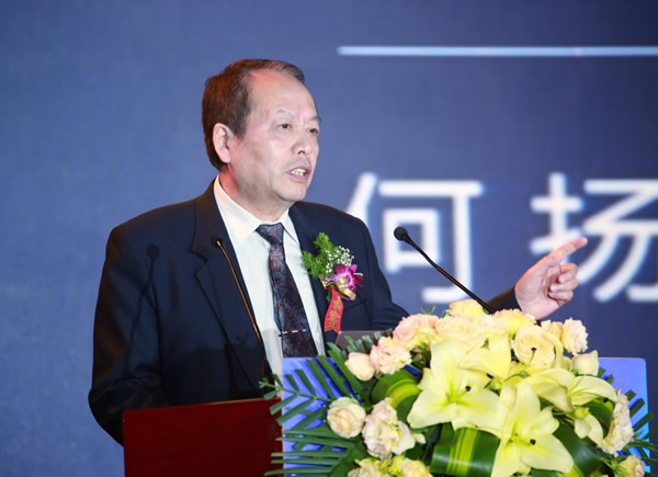 新華教育集團萬通汽車教育研究院院長何揚